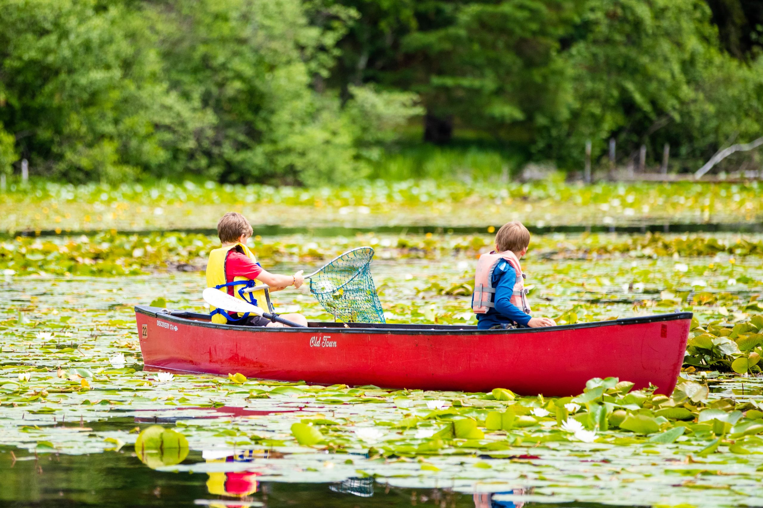 Summer activities for kids at Boyd Lodge, a Minnesota family resort